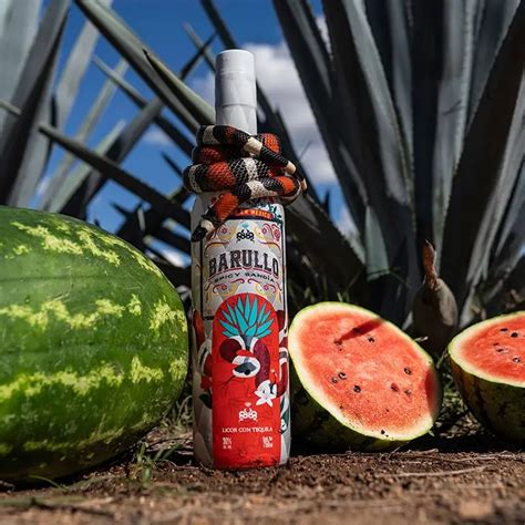 Barullo tequila. Things To Know About Barullo tequila. 